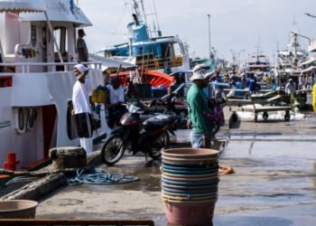 100 Stati approvano l'Accordo FAO sulle Misure dello Stato di approdo
