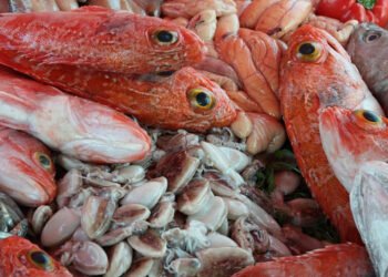 Acquacoltura e pesca. FAO, crescita dell'1,2% per il 2022
