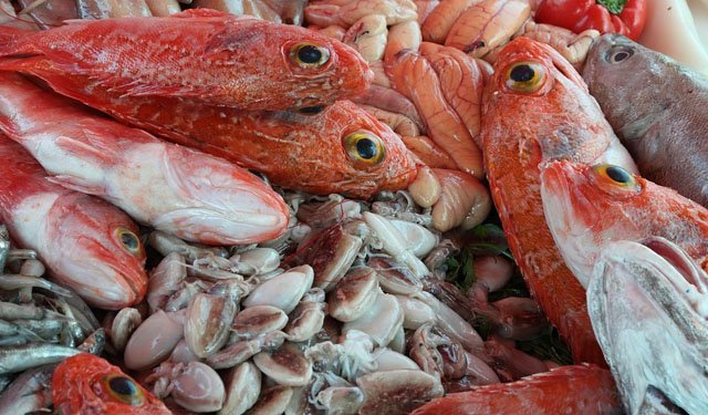 Acquacoltura e pesca. FAO, crescita dell'1,2% per il 2022