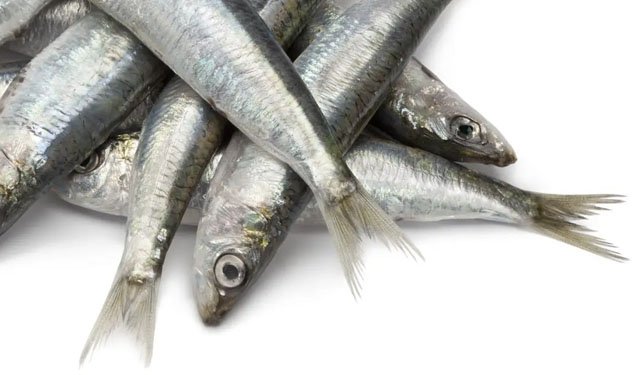 Disponibile l'ultimo Monthly Highlights di EUMOFA