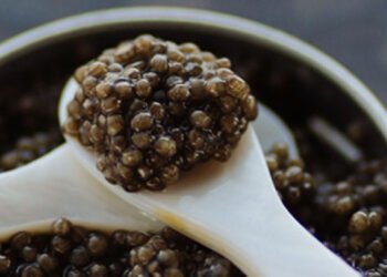 Caviar Milan, l'autentico caviale iraniano sulle tavole degli italiani