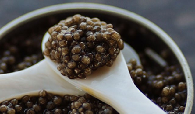 Caviar Milan, l'autentico caviale iraniano sulle tavole degli italiani