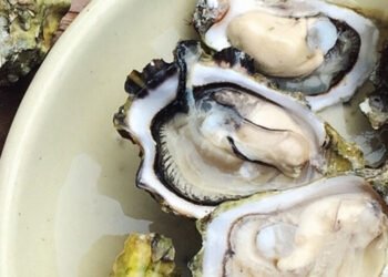 Cinque curiosità sulle ostriche