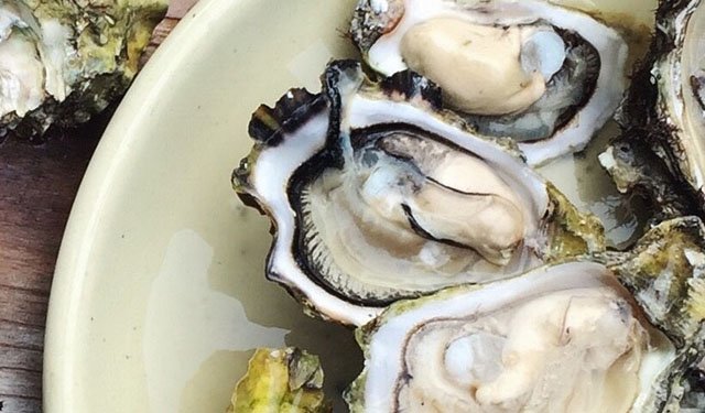 Cinque curiosità sulle ostriche