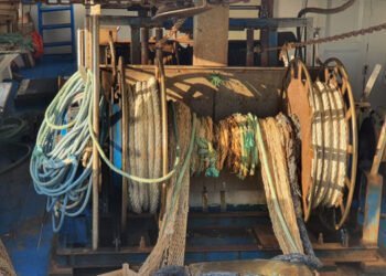 Concordati i primi piani di gestione pluriennali congiunti nel Mediterraneo