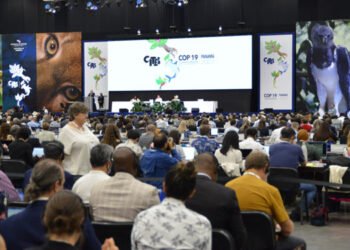 CoP19. Attese decisioni che riguarderanno oltre 600 specie di animali e piante 