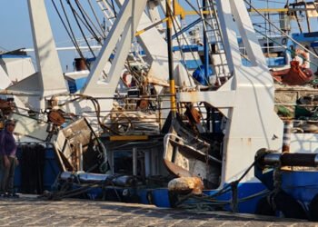 Fai, Flai, Uila Pesca: soddisfazione per rinnovo CCNL personale non imbarcato cooperative