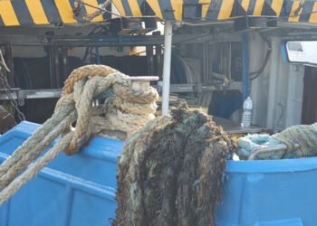 Giornata Mondiale Pesca: Uila Pesca "sostenibilità sociale per garantire futuro al settore" 