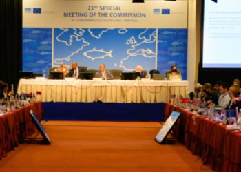 ICCAT, nuovi TAC per il Tonno Rosso