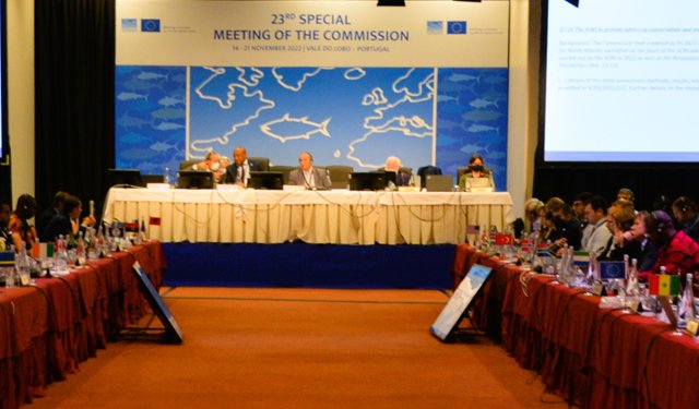 ICCAT, nuovi TAC per il Tonno Rosso