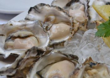 L’UE tra i primi cinque maggiori produttori di ostriche al mondo