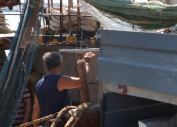 La bussola. Le figure “speciali” dell’imprenditore ittico e del pescatore