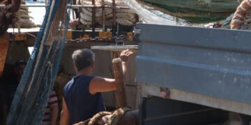 La bussola. Le figure “speciali” dell’imprenditore ittico e del pescatore
