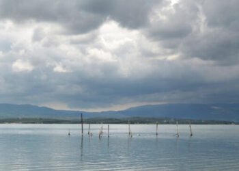 Maltempo: Coldiretti, salva da asfissia pesci e ostriche 