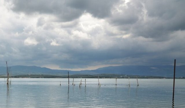 Maltempo: Coldiretti, salva da asfissia pesci e ostriche 