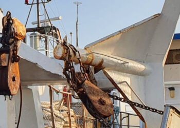 Mediterraneo e Mar Nero. Novità su opportunità di pesca 2023