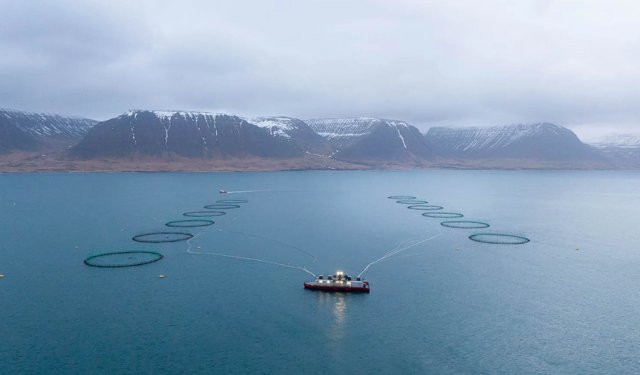 Mowi arriva in Islanda