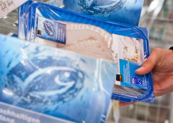 Natale 2022. MSC raccomanda di consumare pesce certificato sostenibile