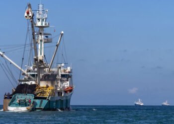 Nuovo accordo per una pesca sostenibile tra l'UE e il Madagascar