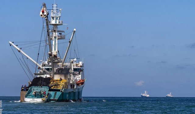 Nuovo accordo per una pesca sostenibile tra l'UE e il Madagascar