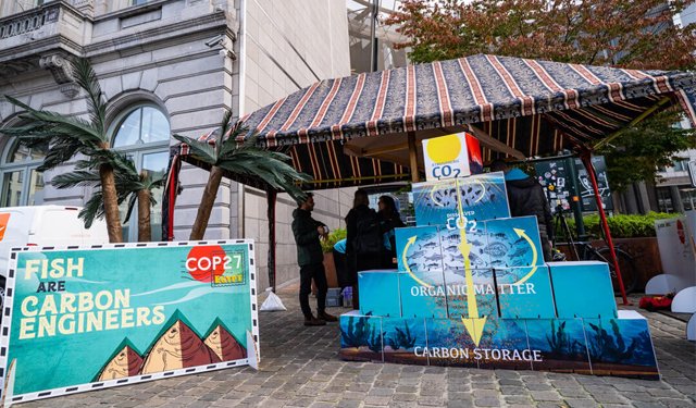 Our Fish sensibilizza su una buona gestione della pesca