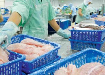 In UE aumentano le importazioni di pangasio dal Vietnam