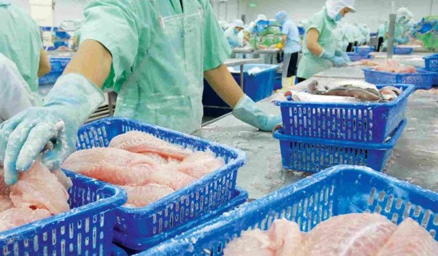In UE aumentano le importazioni di pangasio dal Vietnam