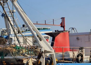 Scognamiglio: pronti al confronto con il ministro Lollobrigida