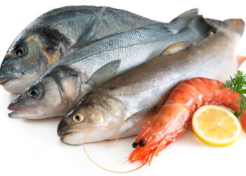 2023. Acquacoltura in espansione e leggero aumento delle catture