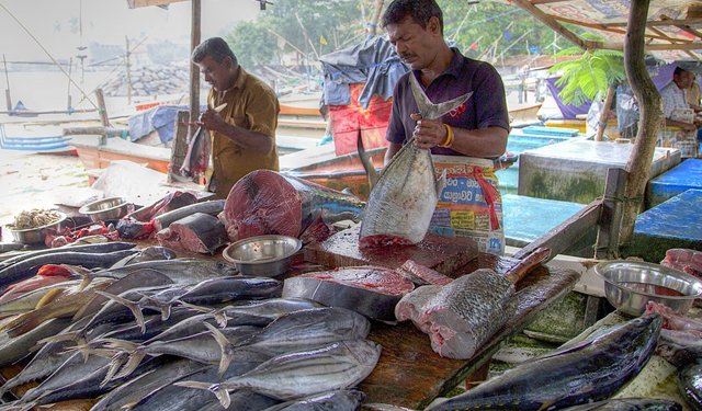 Al centro della cooperazione italo tunisina la pesca e l’innovazione del settore ittico