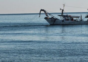 Bollette, Casanova, interrogazione su acquacoltura, servono aiuti