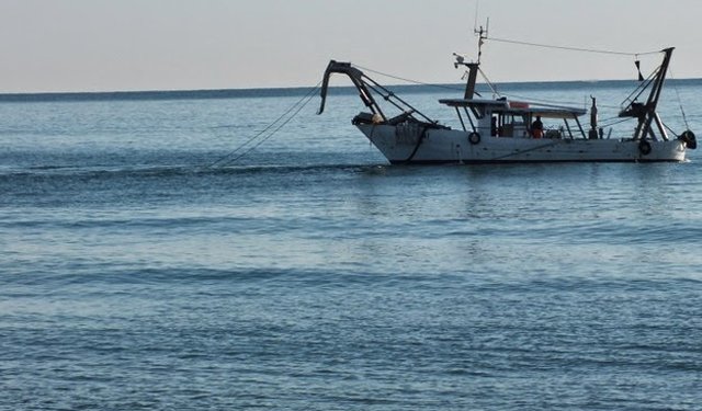Bollette, Casanova, interrogazione su acquacoltura, servono aiuti