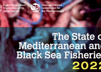 Ancora significative le pressioni sulle risorse ittiche nel Mediterraneo e nel Mar Nero, nonostante il calo della pesca eccessiva