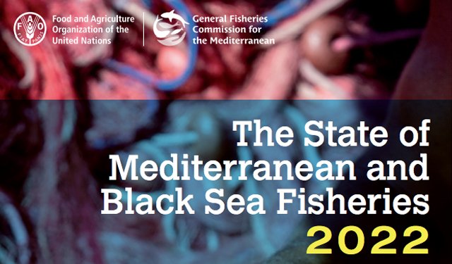 Ancora significative le pressioni sulle risorse ittiche nel Mediterraneo e nel Mar Nero, nonostante il calo della pesca eccessiva