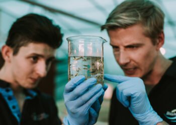 BioMar: un percorso di successo tra economia circolare e pratiche riparative