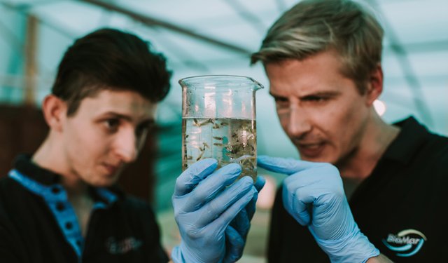 BioMar: un percorso di successo tra economia circolare e pratiche riparative