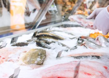 GDO fatturati in crescita nel 2022 male l'ittico fresco