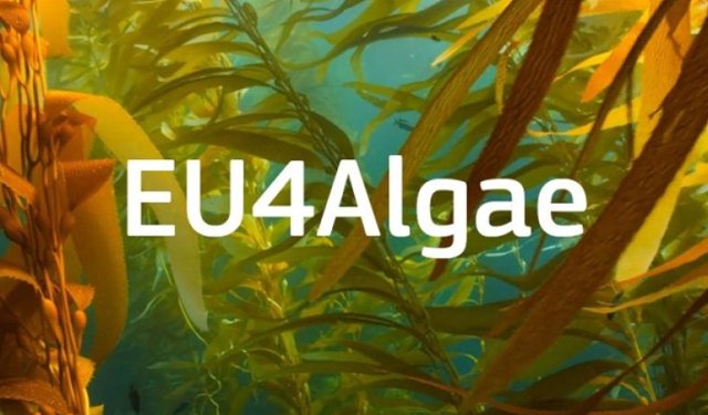 Il 12 dicembre a Roma è di scena EU4Algae