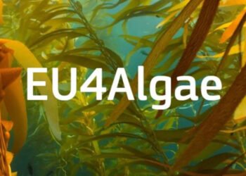 Il 12 dicembre a Roma è di scena EU4Algae