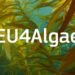 Il 12 dicembre a Roma è di scena EU4Algae