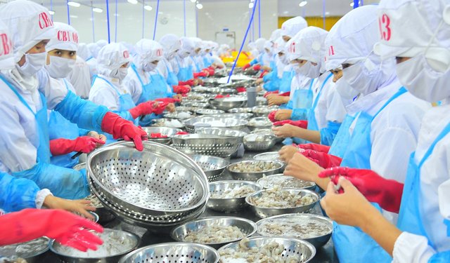 Il Vietnam tra i tre maggiori esportatori al mondo di prodotti ittici