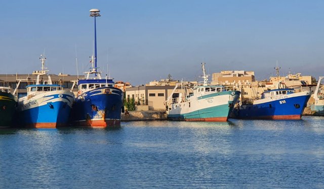 Ipotesi di riapertura della pesca dei gamberi di profondità