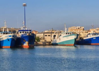 Ipotesi di riapertura della pesca dei gamberi di profondità