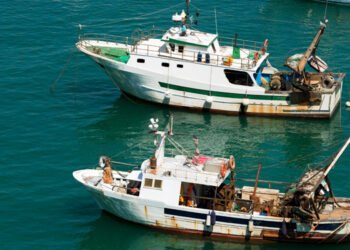 Lega: da Ue passi in avanti, ma ancora criticità su cui lavorare per difendere settore pesca