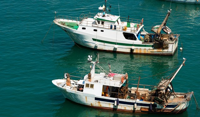 Lega: da Ue passi in avanti, ma ancora criticità su cui lavorare per difendere settore pesca