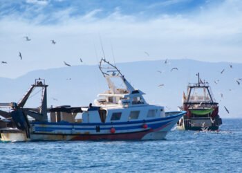 Maggiore trasparenza nel settore ittico con il nuovo database di Planet Tracker