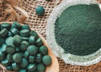 Nuovi investitori per Algaria SRL grazie a BlueInvest