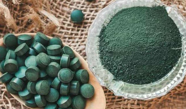 Nuovi investitori per Algaria SRL grazie a BlueInvest