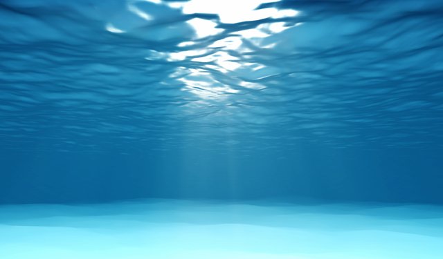 ONU riconosce MSC indicatore globale per l'azione su perdita biodiversità