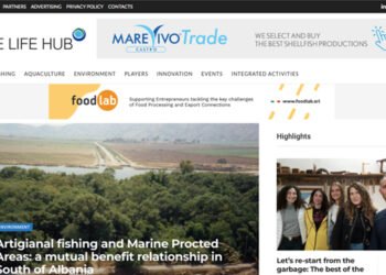 Blue Life Hub, il nuovo magazine online basato sui principi della Blue Economy